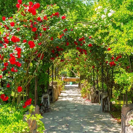 Melek Paradise *
