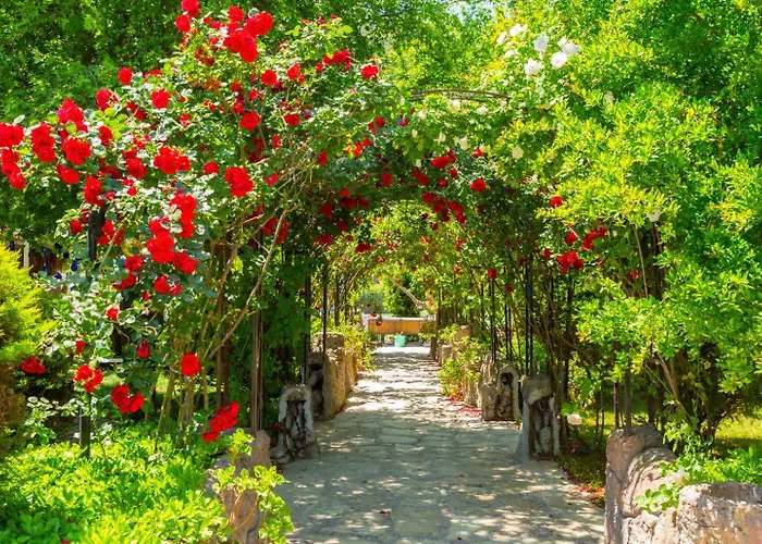 Melek Paradise *